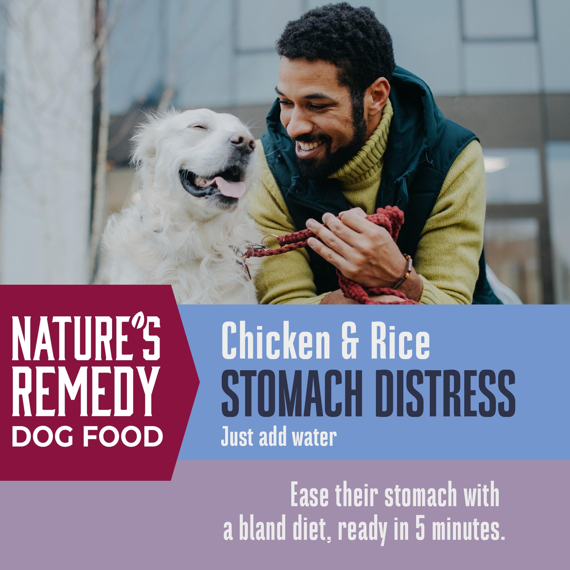 Dieta blanda Whole Life Pet como apoyo digestivo suave para perro