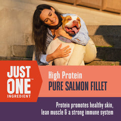 Just One Salmón de Whole Life Pet, opción suave para estómagos sensibles de perros.