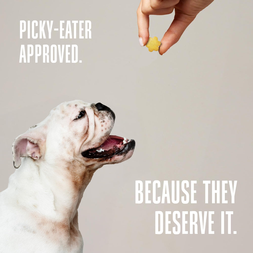 Whole Life Pet hecho en USA, premios probióticos para perros.