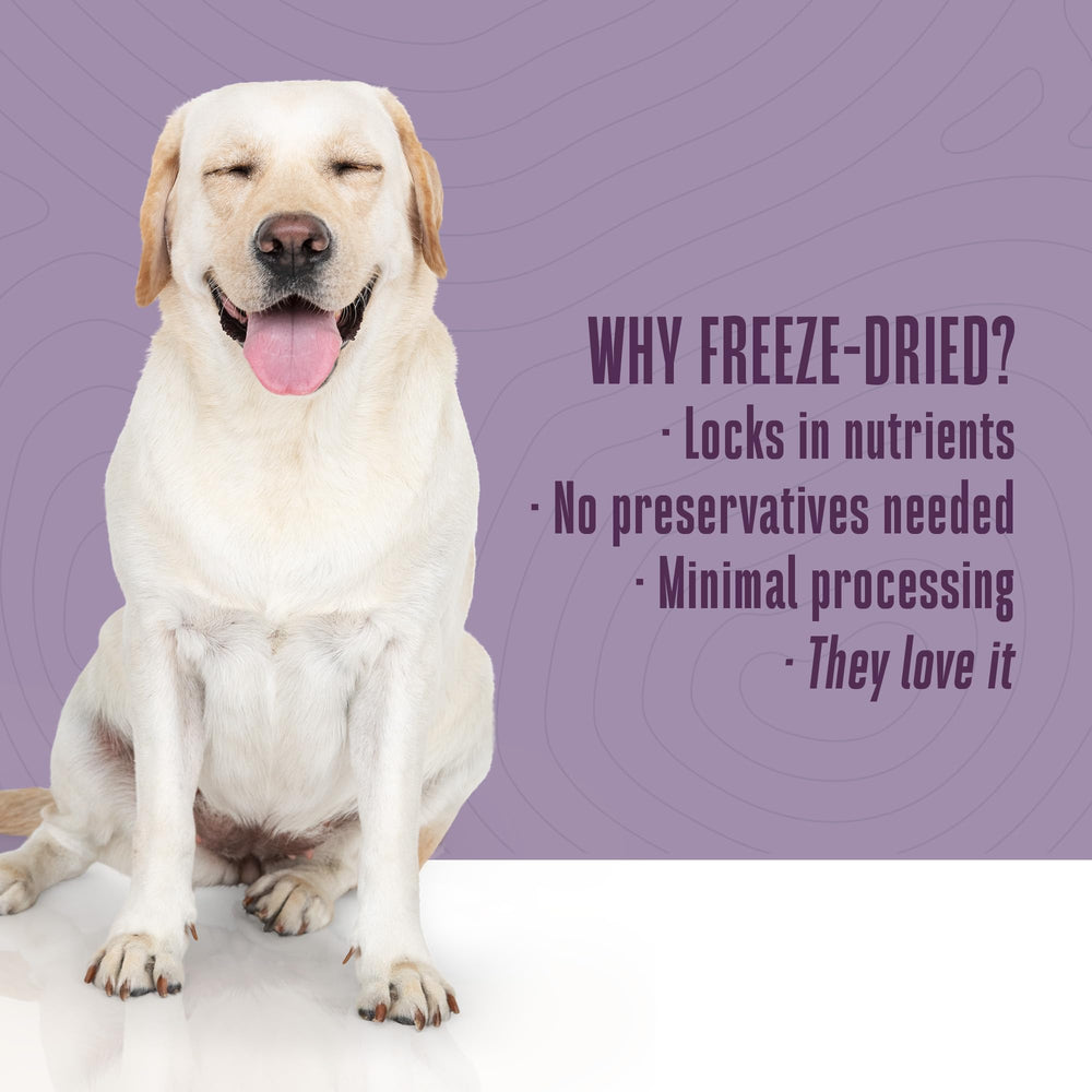 Formato de Whole Life Pet, sin conservantes y con ingredientes naturales para perro.