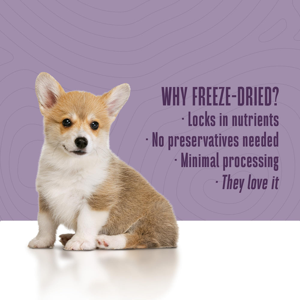 Producto hecho en EE. UU. higado liofilizado para perros Whole Life