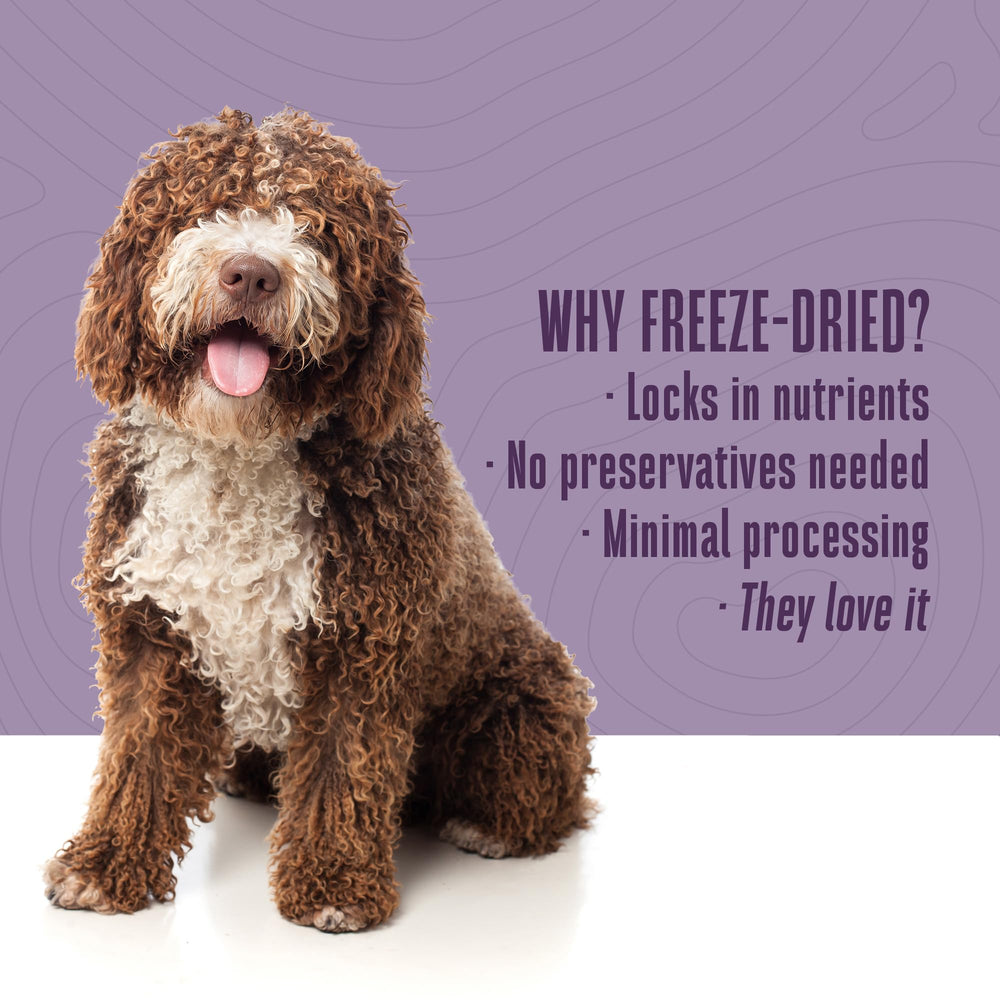 Topper para la comida de perro, añade sabor con Whole Life Pet Products.