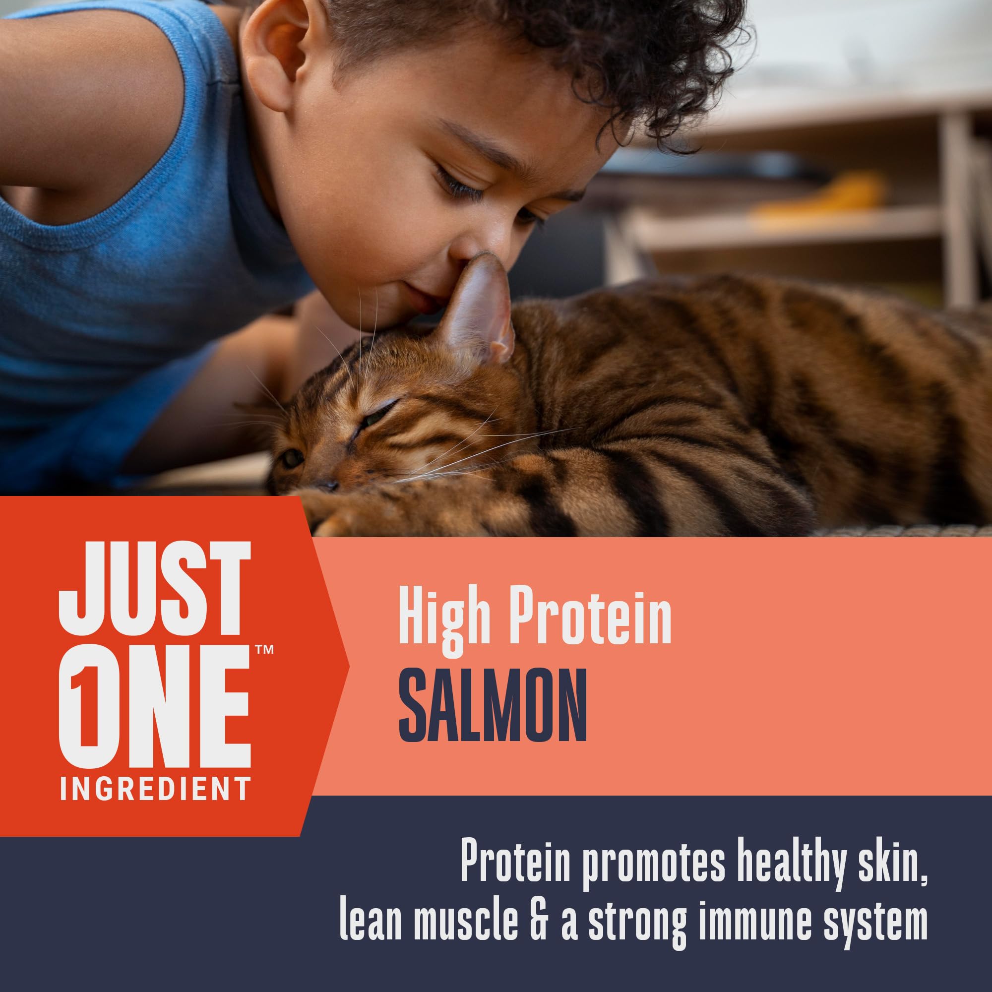 Topper de salmón de Whole Life para realzar comidas de gatos