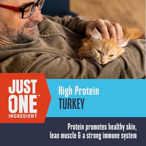 Trozos de pavo deshidratado Whole Life para snack proteico de gatos.