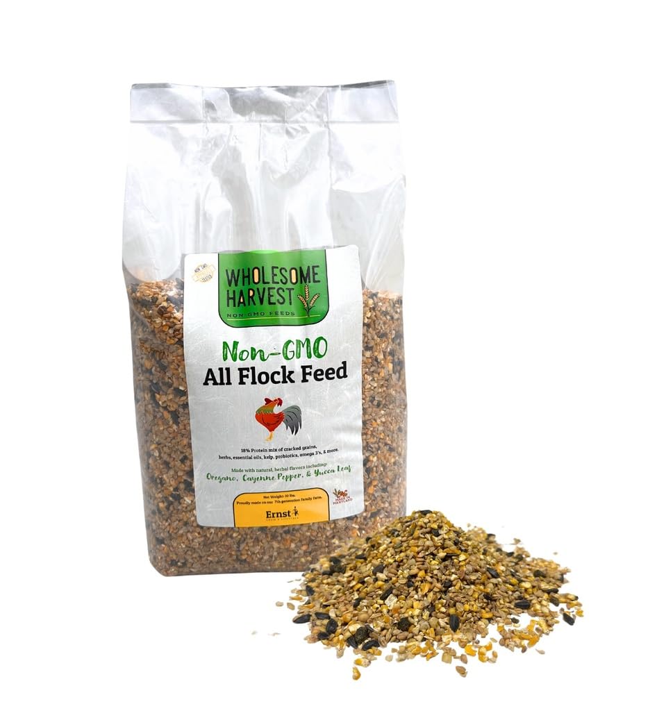 Wholesome Harvest All Flock Feed: bolsa visible, alimento completo ideal para la alimentación diaria de aves.