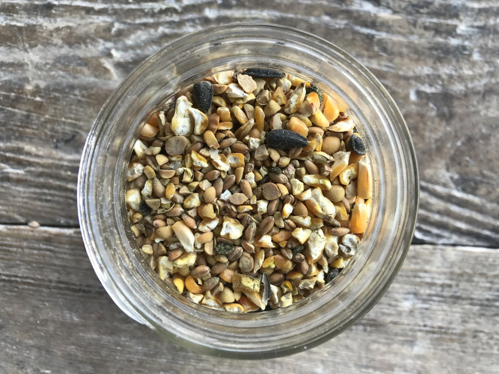 Wholesome Harvest Hierbas oregano y ajo para apoyo digestivo en aves.
