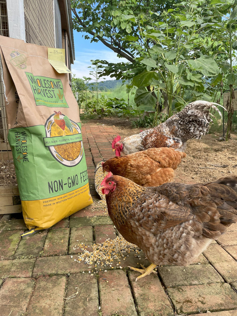 Wholesome Harvest nutrientes equilibrados para etapas tempranas.