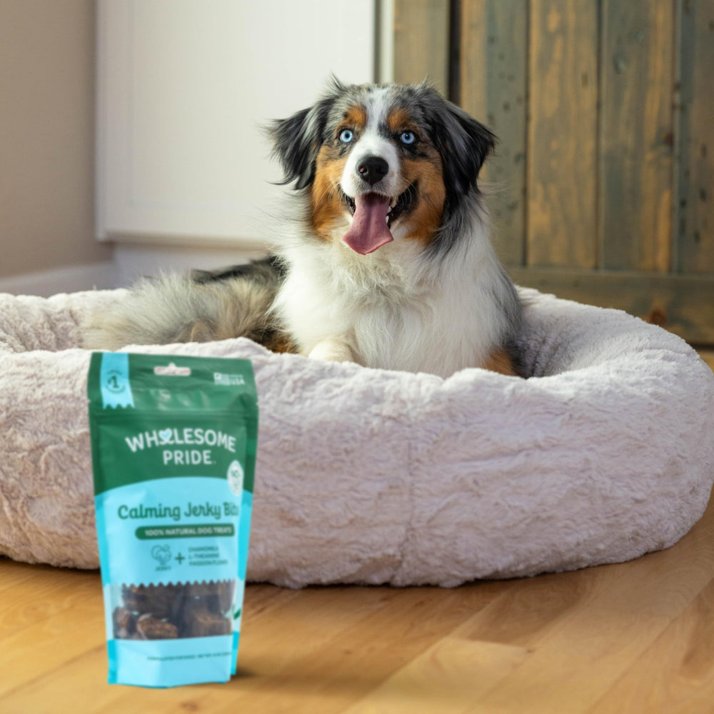 Wholesome Pride snack natural de pavo para momentos estresantes en casa