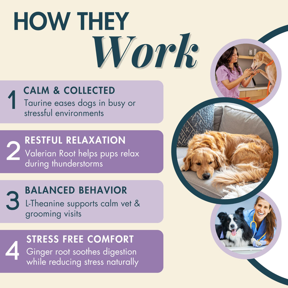 Golosinas para perros Wholistic Pet Calm & Relaxed para reducir tensión en viajes.