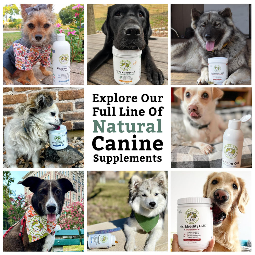Wholistic Pet Organics Canine Complete, mezcla-facil, se integra sin esfuerzo en cualquier comida diaria.