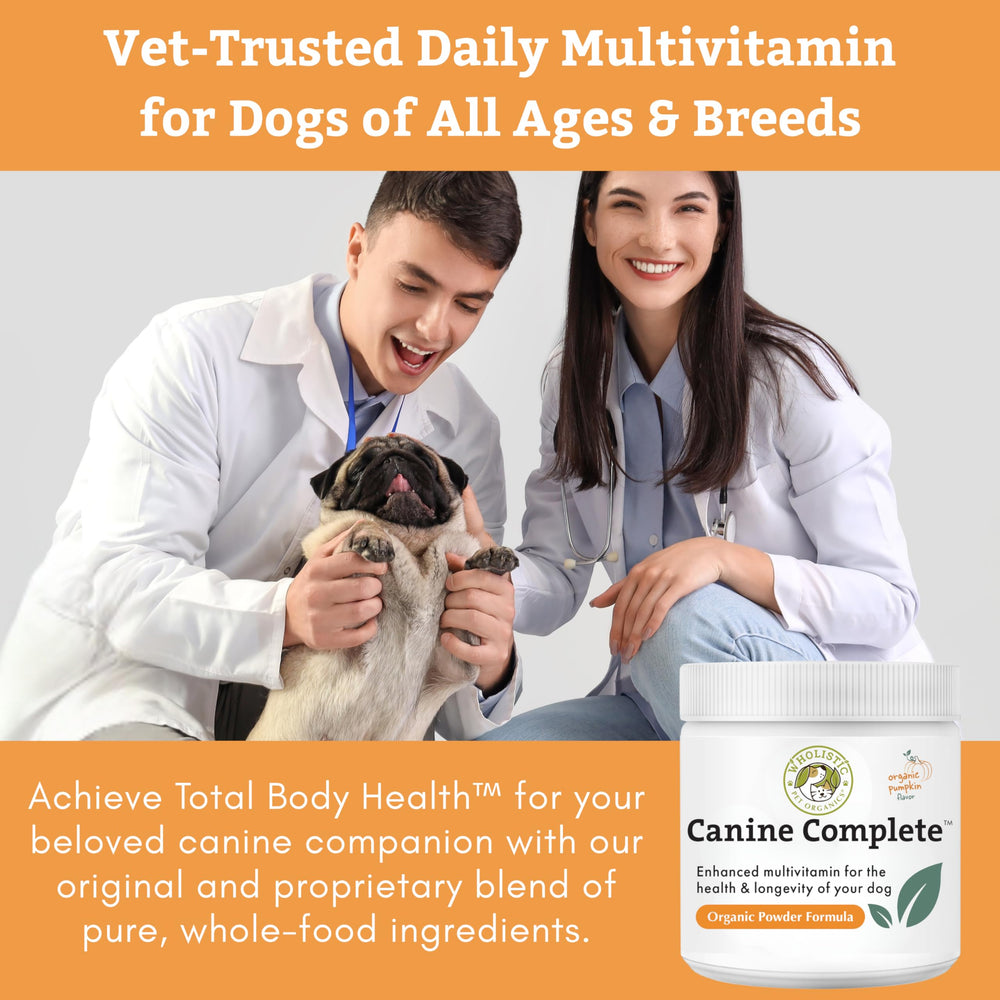 Wholistic Pet Organics Canine Complete, pumpkin-digestivo, favorece la salud digestiva y el bienestar.