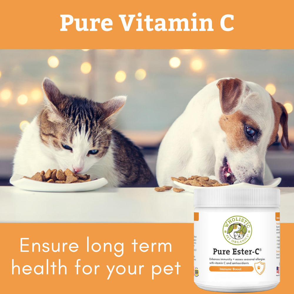 Wholistic Pet Organics Ester-C Powder posible alivio ante alergias en perros.