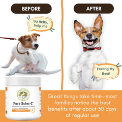 Wholistic Pet Organics Ester-C Powder en envase de 4 onzas para almacenamiento práctico.
