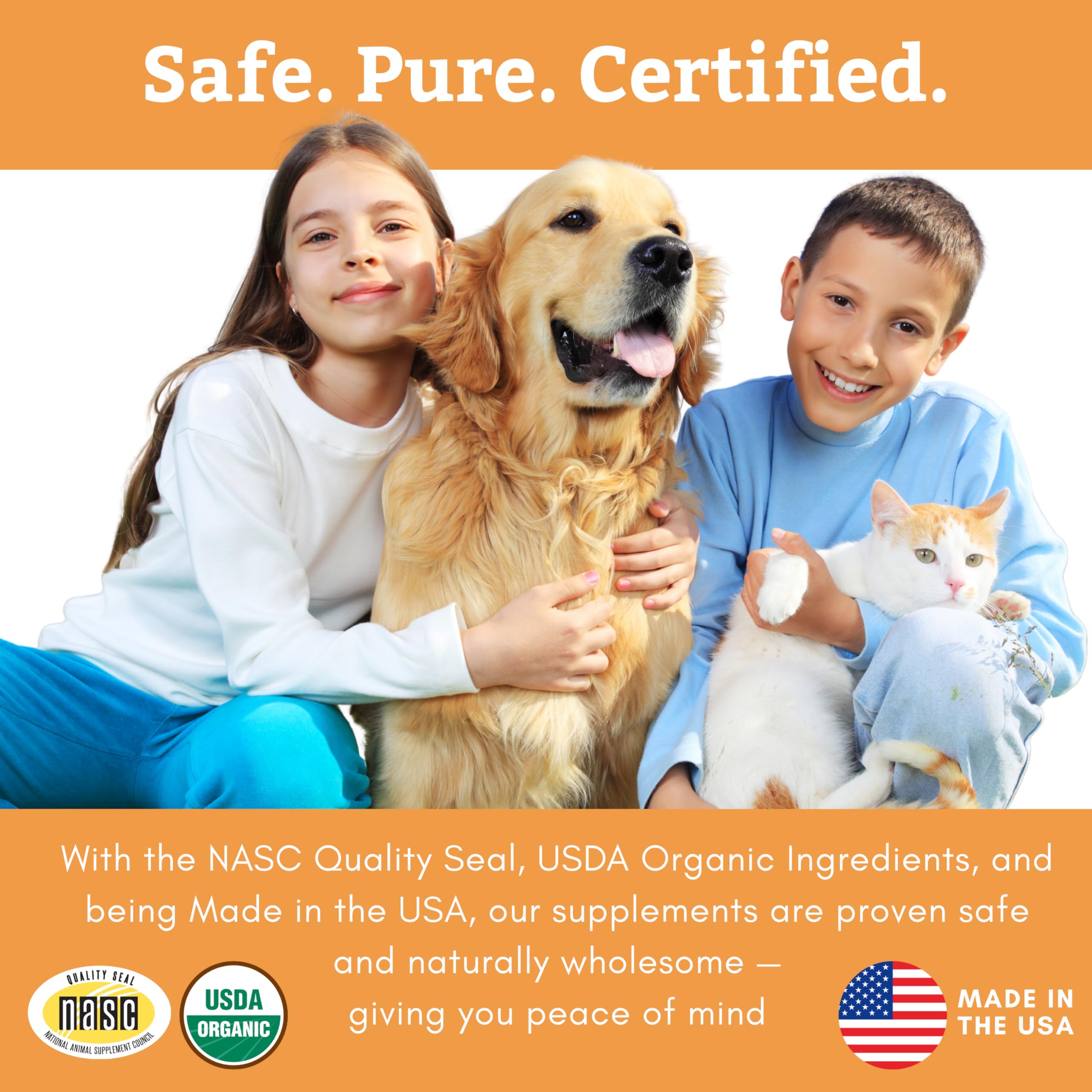 Wholistic Pet Organics Feline Complete Organic Pumpkin, polvo probiótico, apoyo digestivo diario para gatos.