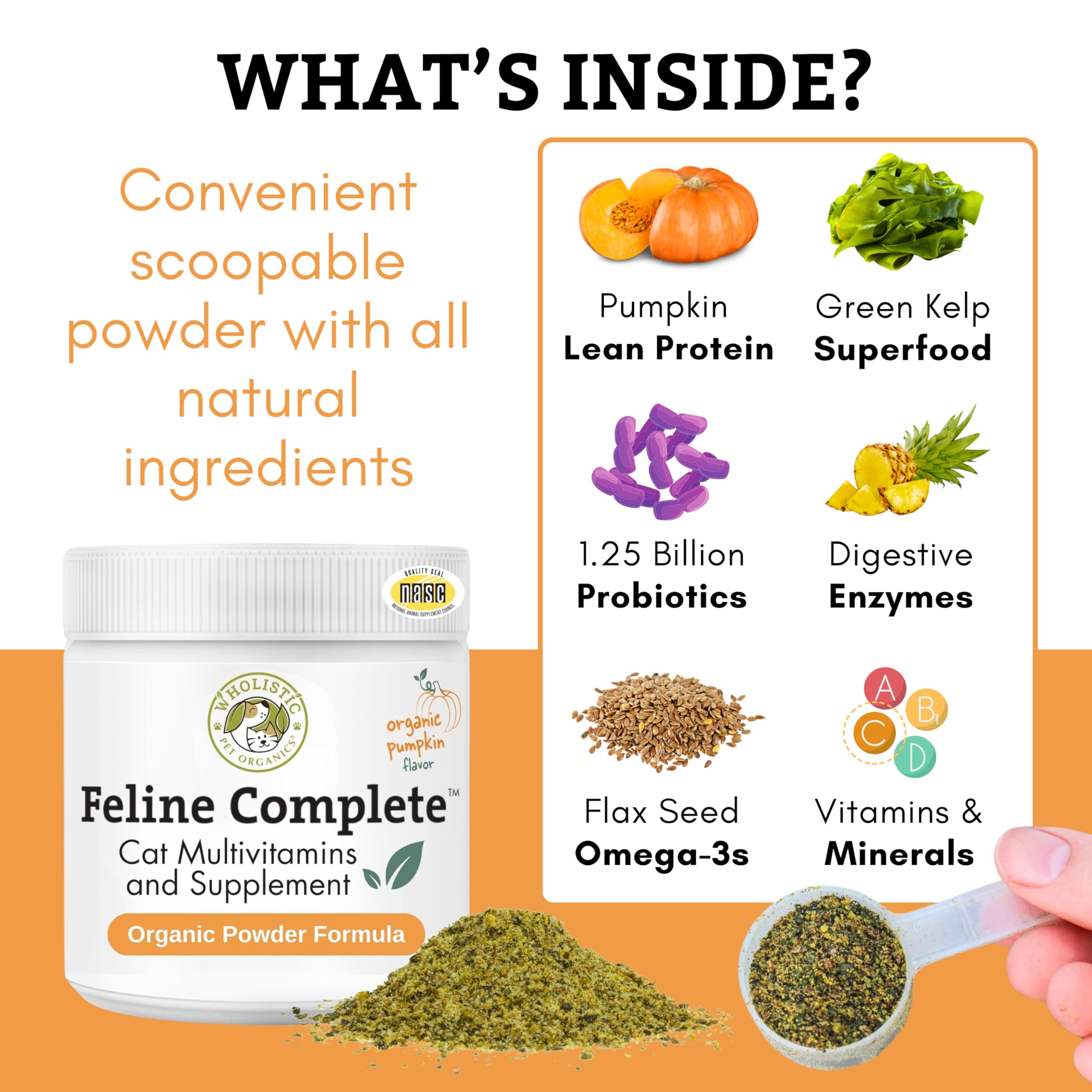 Wholistic Pet Organics Feline Complete Organic Pumpkin, textura polvo naranja, complemento nutritivo para pelaje brillante.