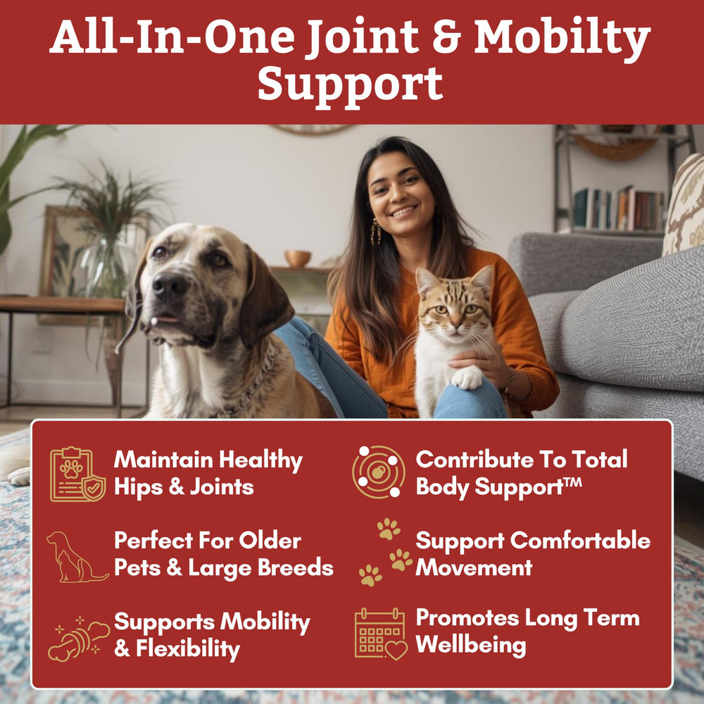 Wholistic Pet Organics glucosamina y condroitina en polvo para movilidad diaria
