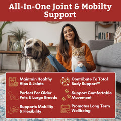 Wholistic Pet Organics glucosamina y condroitina en polvo para movilidad diaria