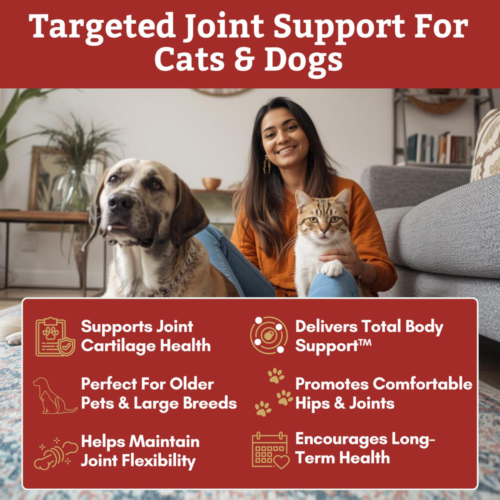 Wholistic Pet Organics: MSM, ingrediente para movilidad articular.