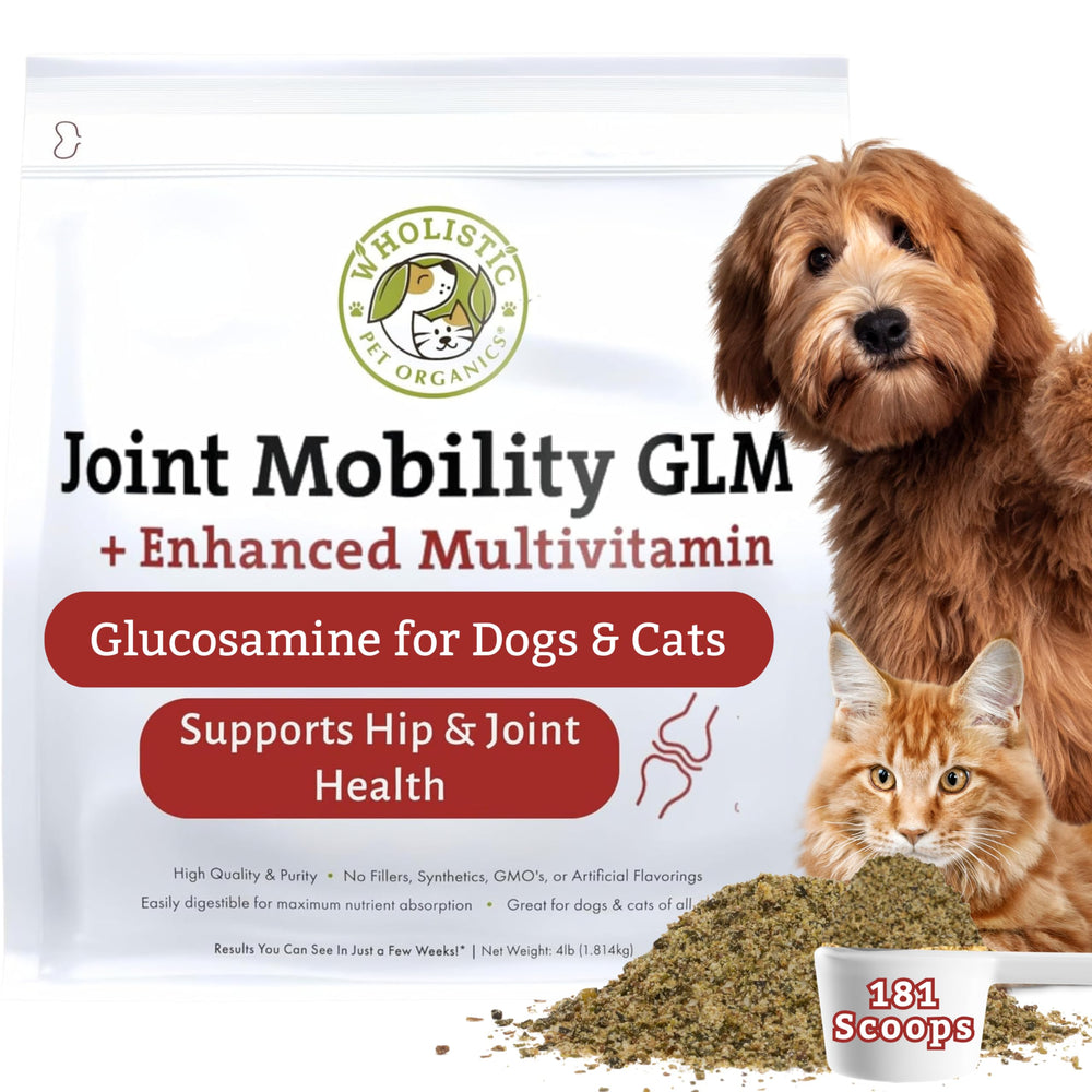 Wholistic Pet Organics polvo articulaciones que se mezcla con comida para mejorar movilidad