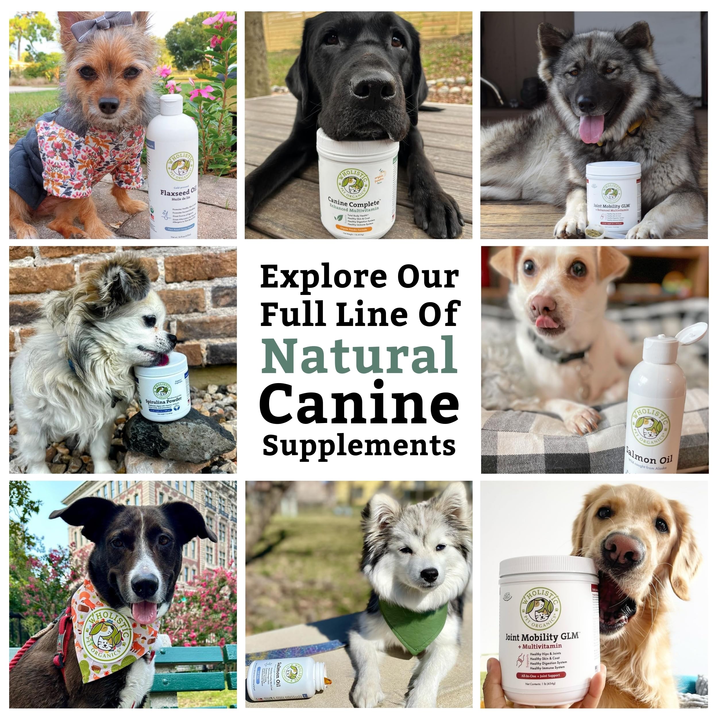 Wholistic Pet Organics Canine Complete, sin rellenos artificiales, opción natural para vitaminas diarias.