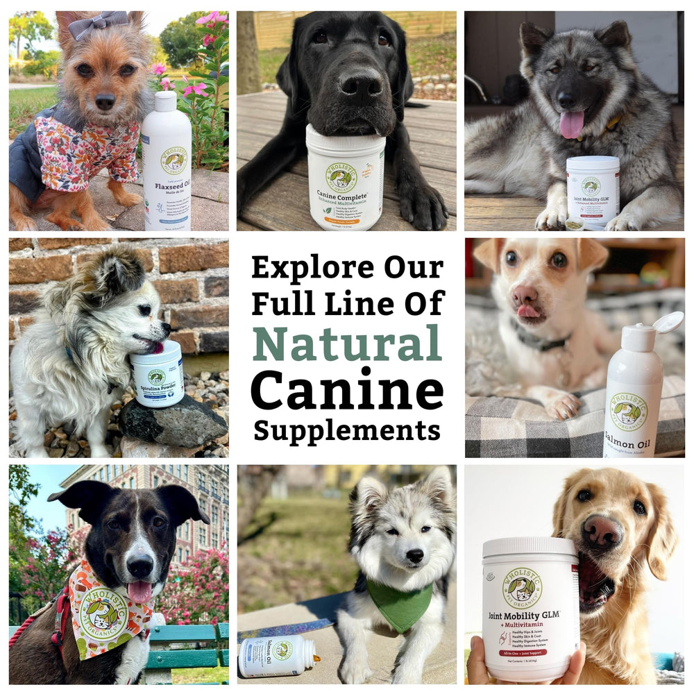 Wholistic Pet Organics Canine Complete, sin rellenos artificiales, opción natural para vitaminas diarias.