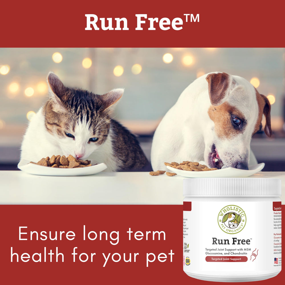 Sin rellenos artificiales: Wholistic Pet Organics fórmula natural para salud articular.