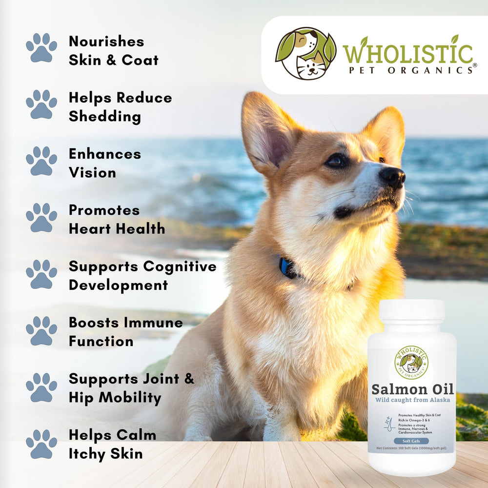 uso diario recomendado de aceite de salmón Wholistic para mascotas