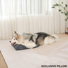 Whoopub almohada para perro XL en sofá para descanso estable.