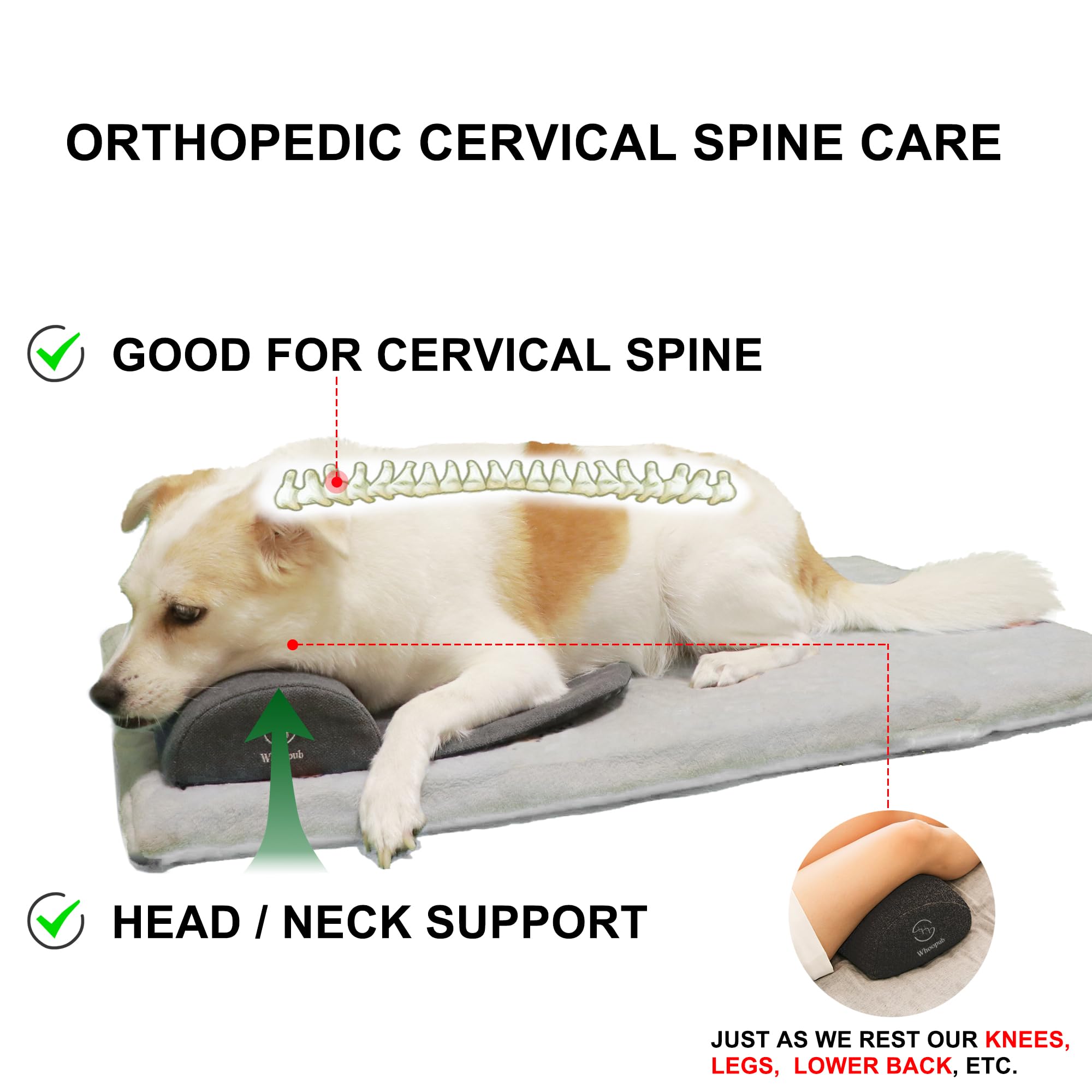 Whoopub espuma de alta resiliencia para soporte duradero del cuello.