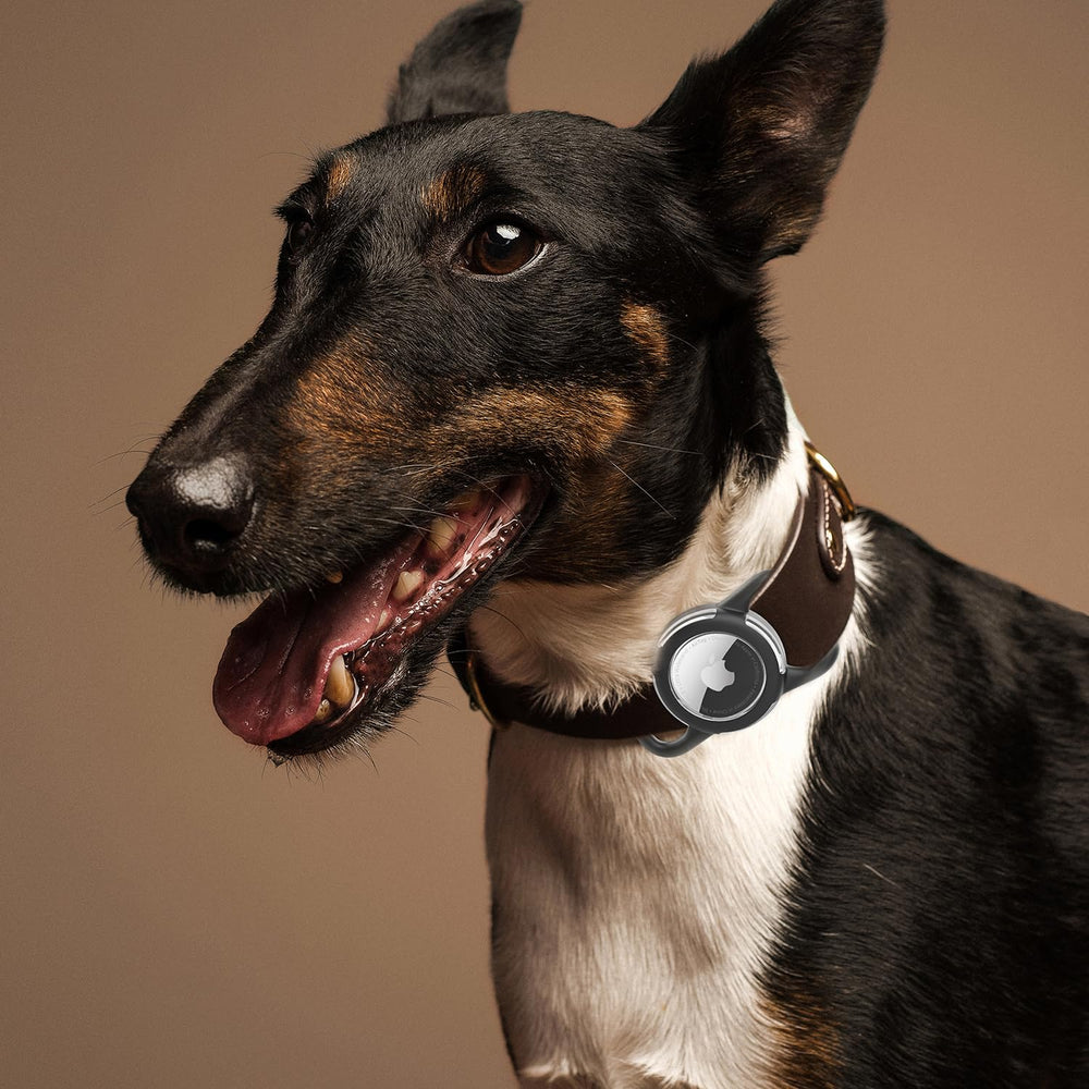 WhoseID caso AirTag transparente y ligero para mascotas