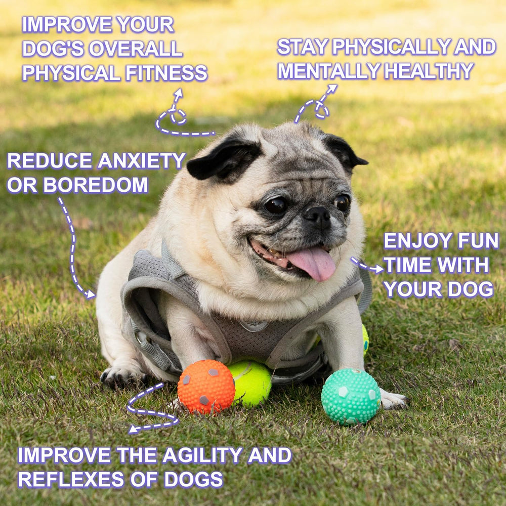 Pelotas de látex WIGGLYTAIL para cachorros, juego interactivo diario.