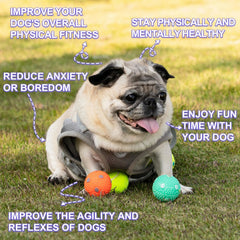 Pelotas de látex WIGGLYTAIL para cachorros, juego interactivo diario.