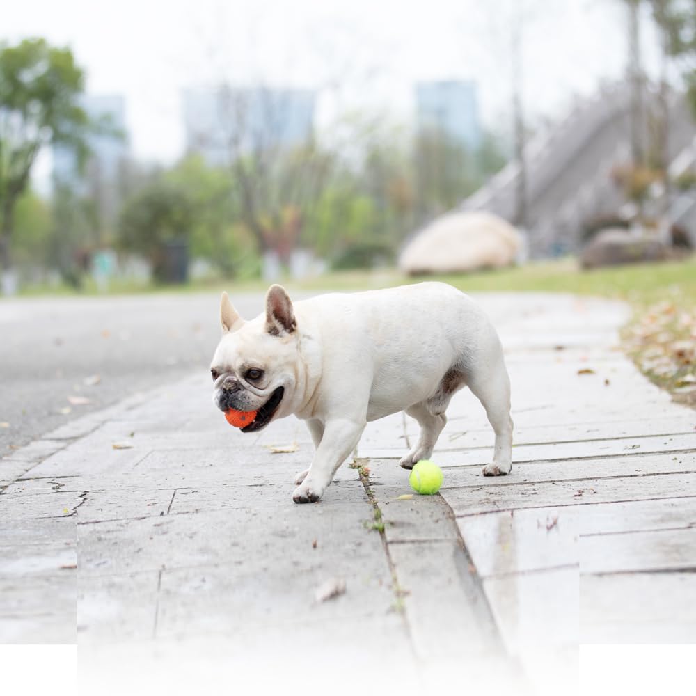 Juego para perros pequeños con pelotas WIGGLYTAIL.