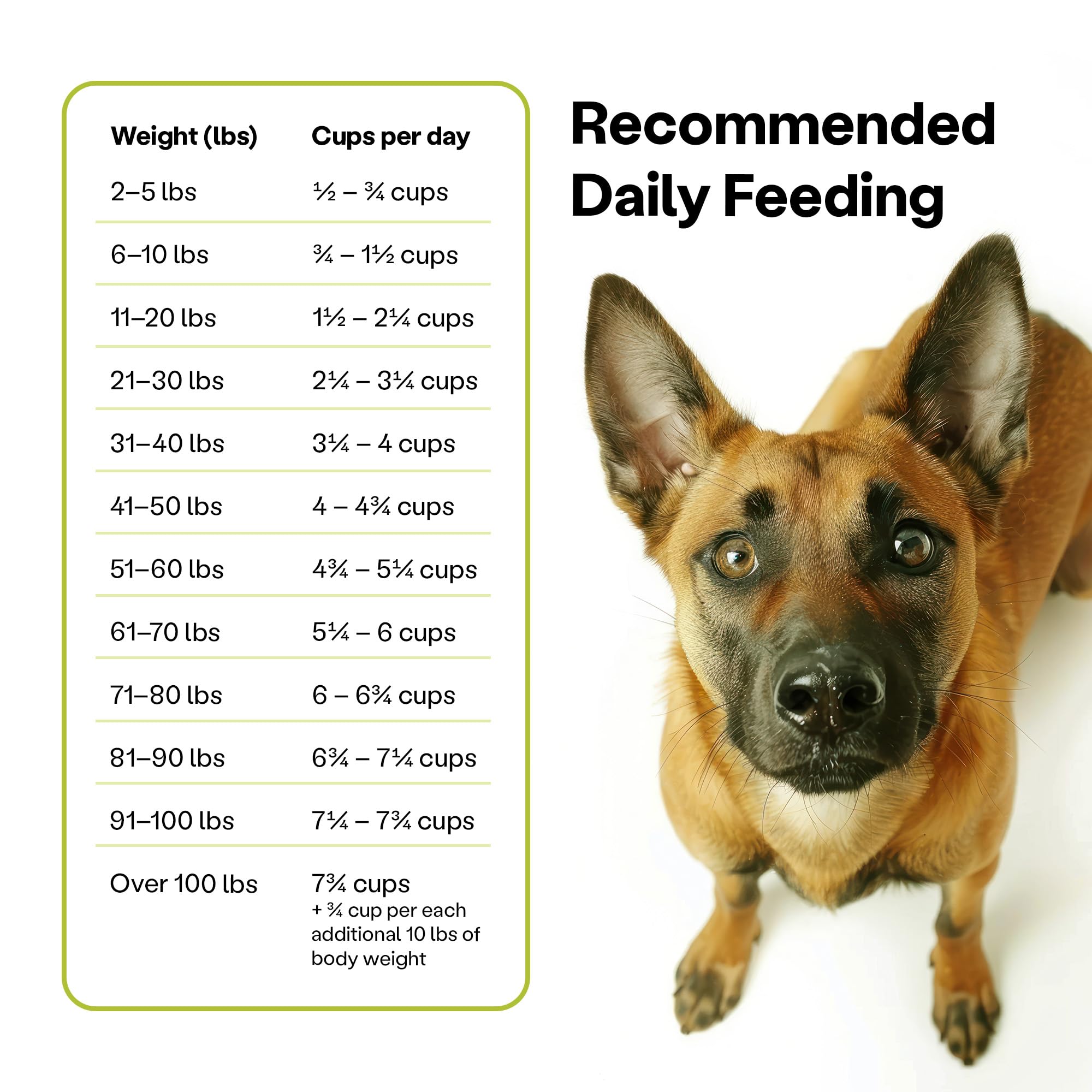 Kibble vegano con DHA, Taurina y L-Carnitina para nutrición equilibrada.