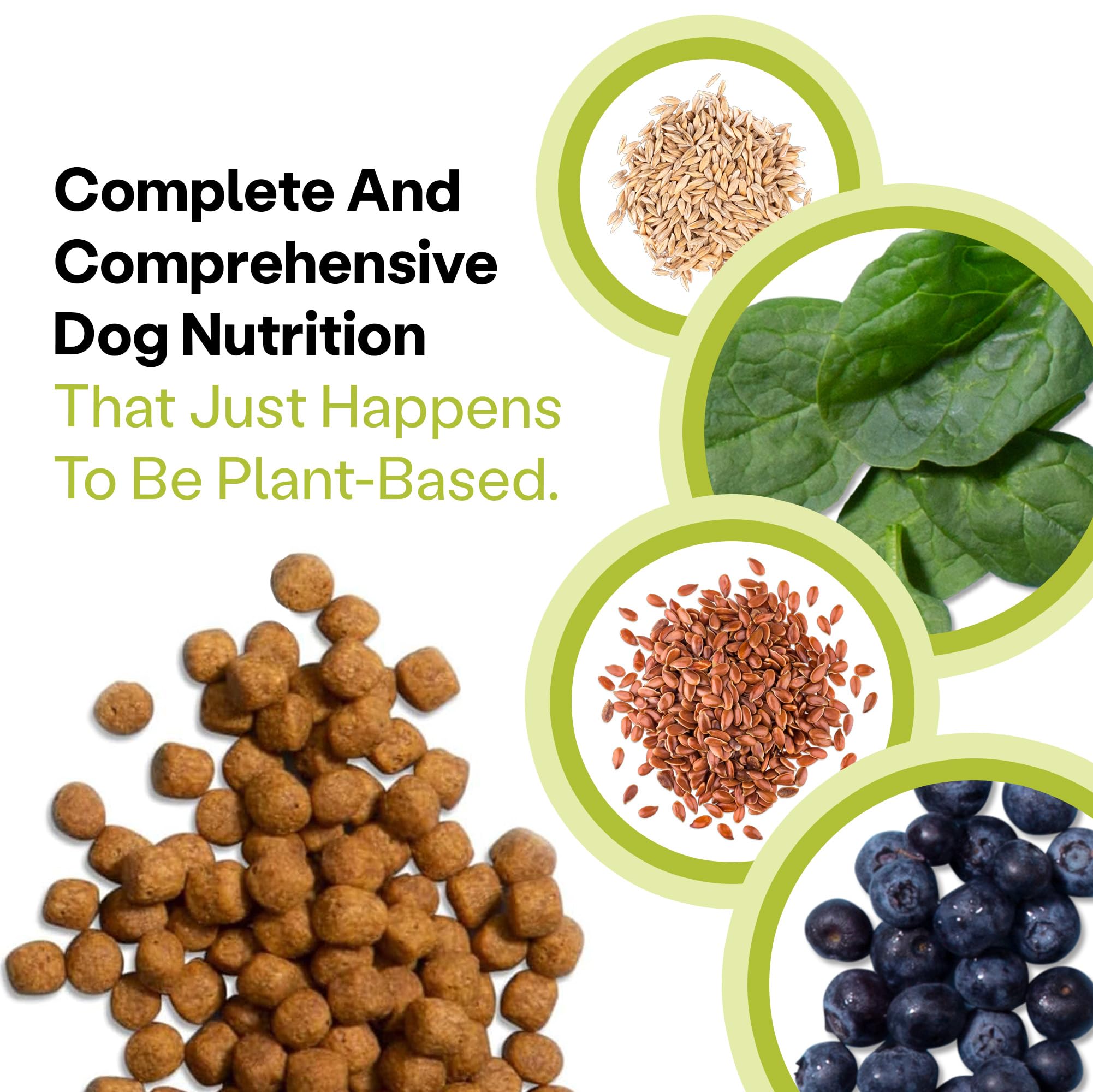 Kibble vegano sin carne, sin lacteos y sin trigo para dietas sensibles.