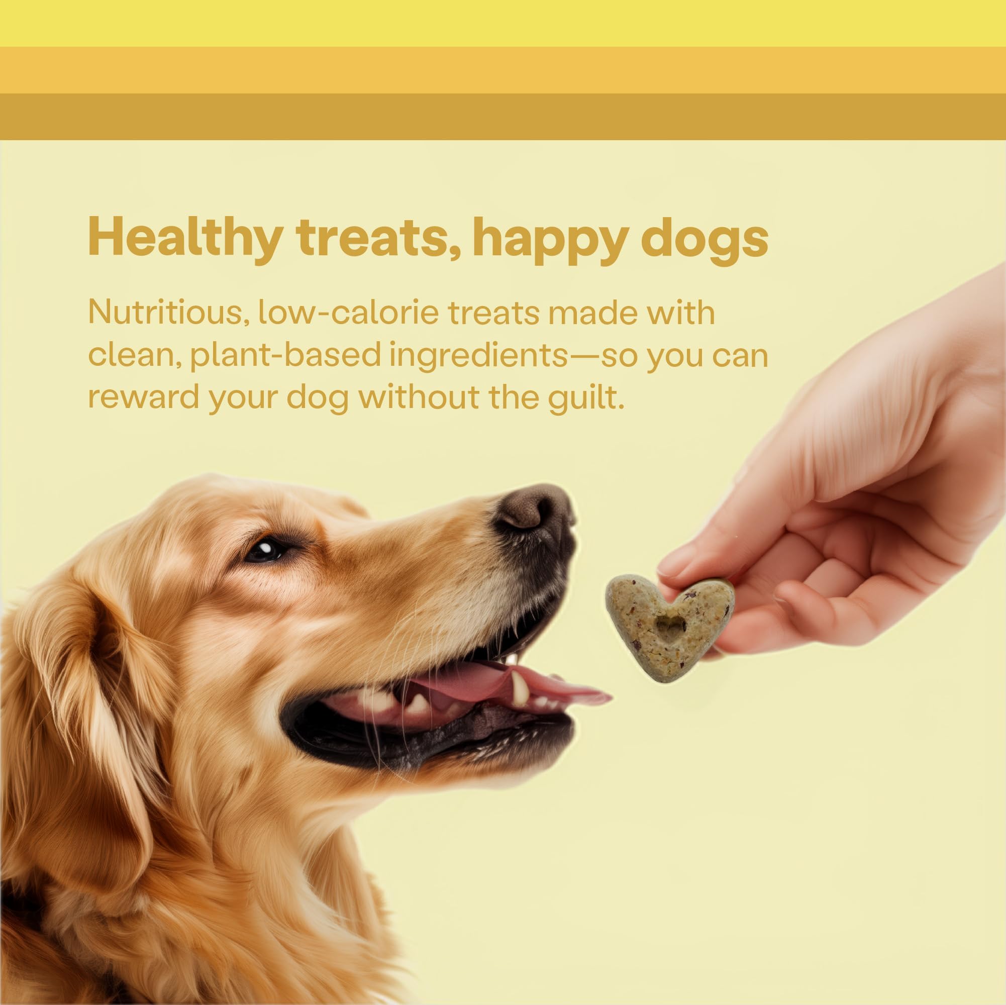 Wild Earth Premios prebióticos: apoyo digestivo natural para perros.