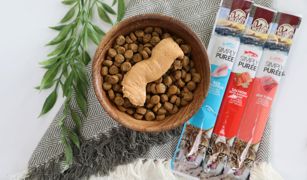Wild Eats experiencia vínculo gato al ofrecer lickable a mano