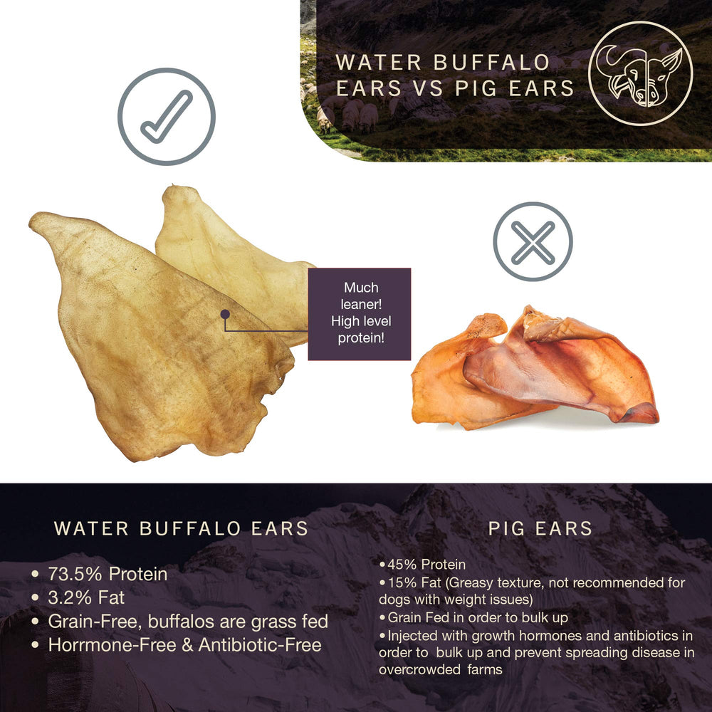 Wild Eats ingrediente único, orejas de búfalo para masticar seguro.