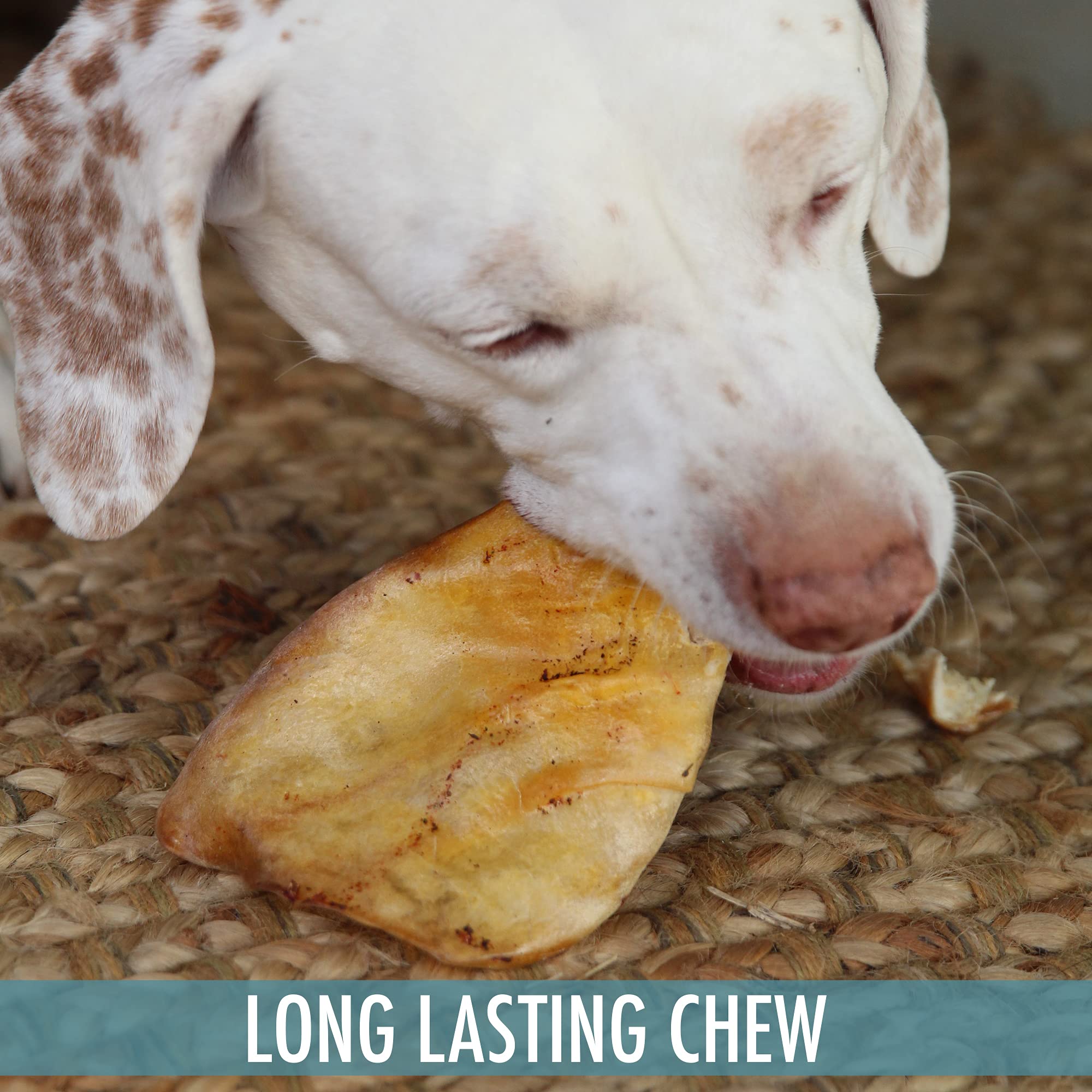 Wild Eats oreja de búfalo para perros pequeños, snack satisfactorio