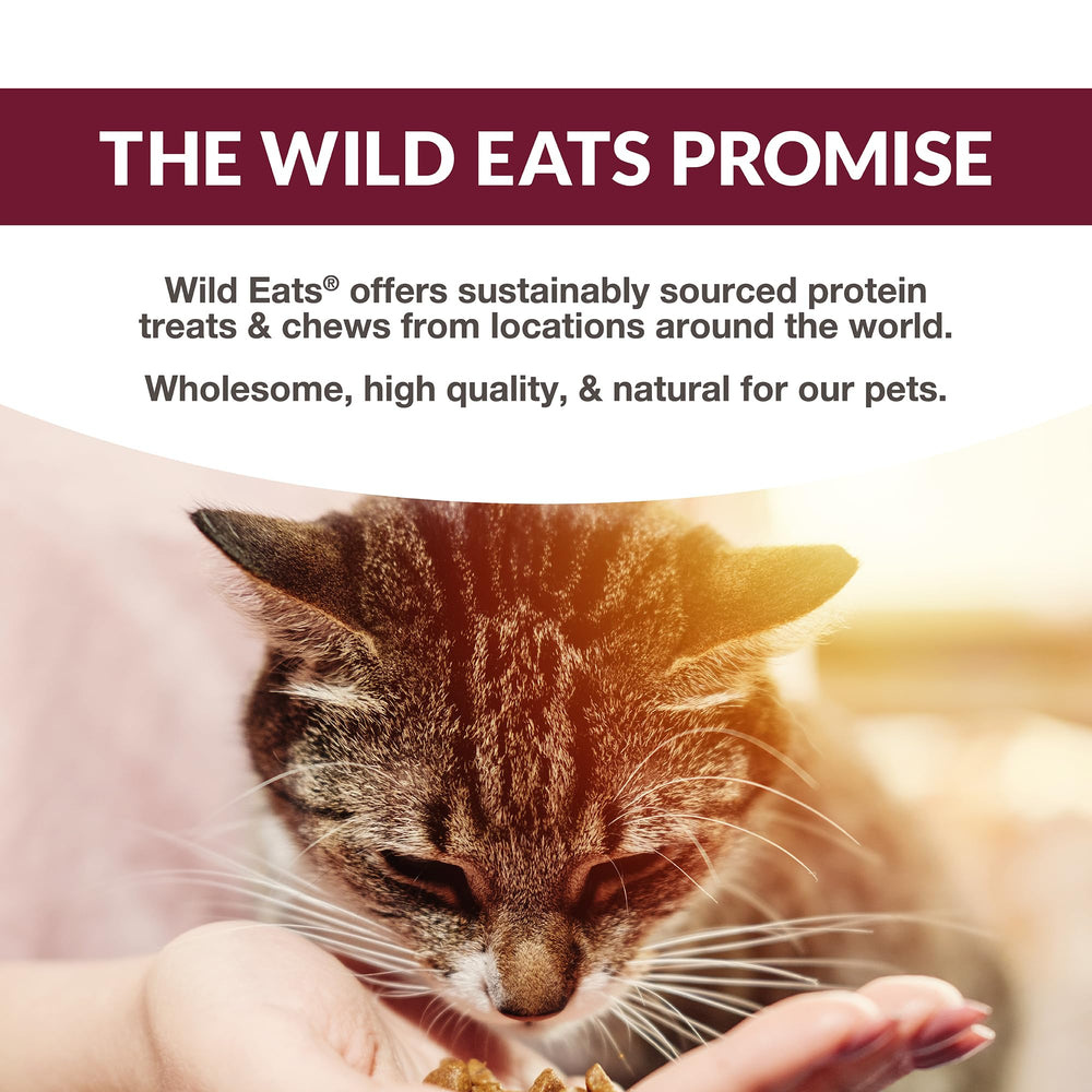 Sin conservantes en Wild Eats Puré, receta natural para gatos.