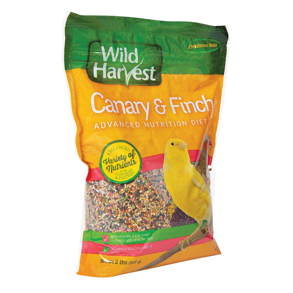 Wild Harvest Advanced Nutrition para canarios y jilguero: primer plano de semillas para forraje natural