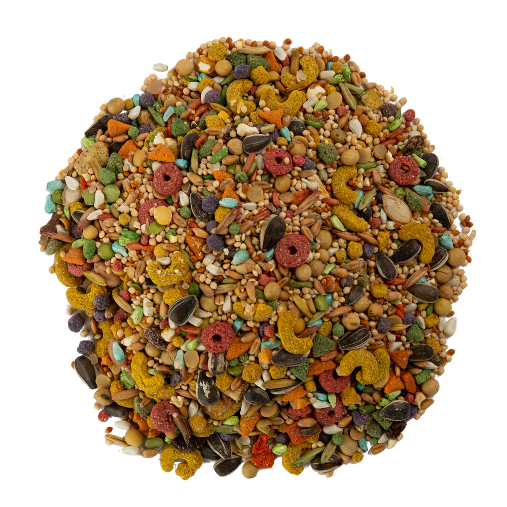 Wild Harvest variedad de semillas y granos para forraje natural