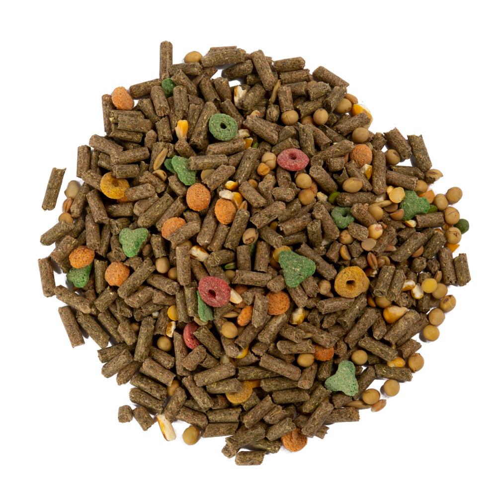 Wild Harvest conejo de indias en porción diaria recomendada 1