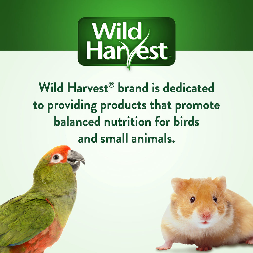 Wild Harvest Daily Blend esencia naranja añade sabor natural para aves.