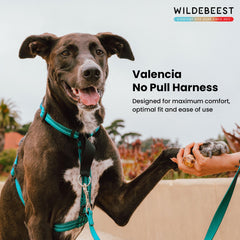 Arnés Wildebeest Valencia con clip trasero para paseos variados y libertad de movimiento.