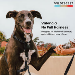 Arnés Wildebeest Valencia con enganche trasero para paseos versátiles.