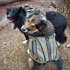 Wilderdog alforjas con bolsillos para organizar premios y accesorios.
