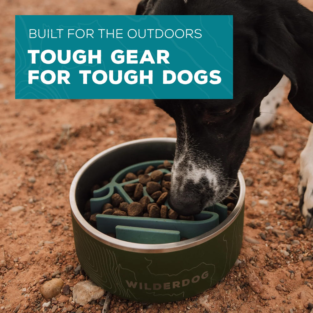 Alimentador Wilderdog lento con garantía de por vida