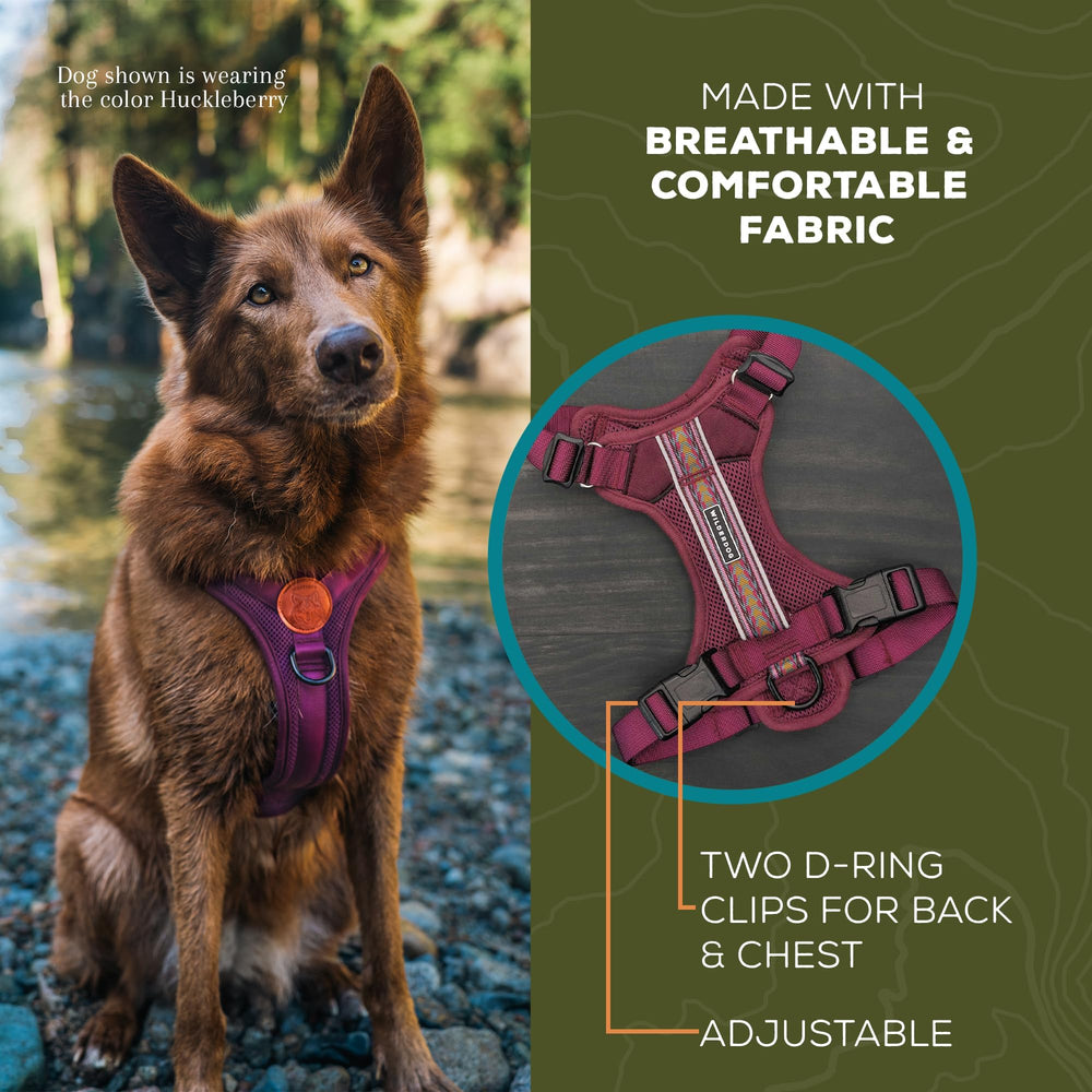 Arnés Wilderdog con asa superior para asistencia y control cercano.