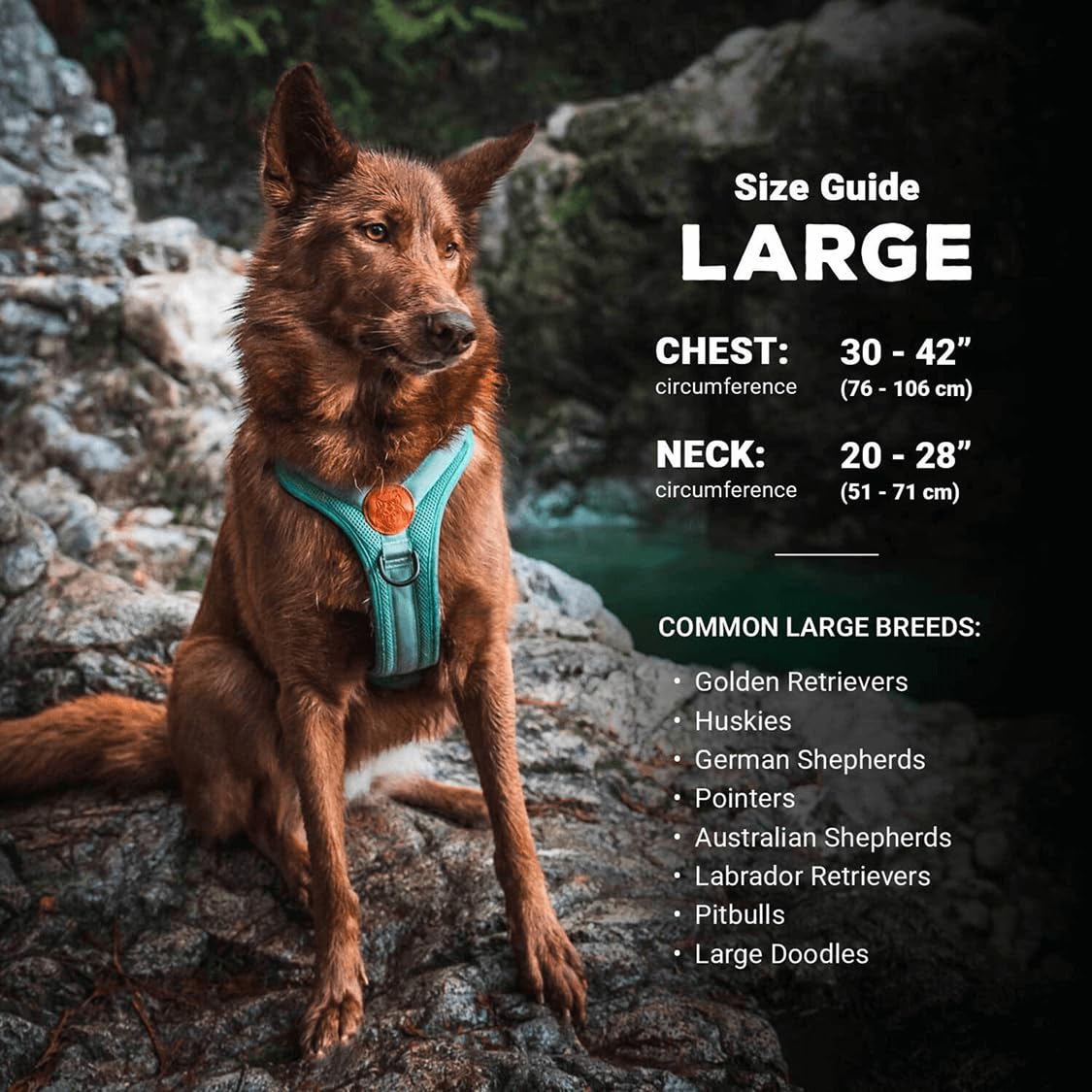 Wilderdog: dos anillos en pecho y espalda para mayor control en caminatas.